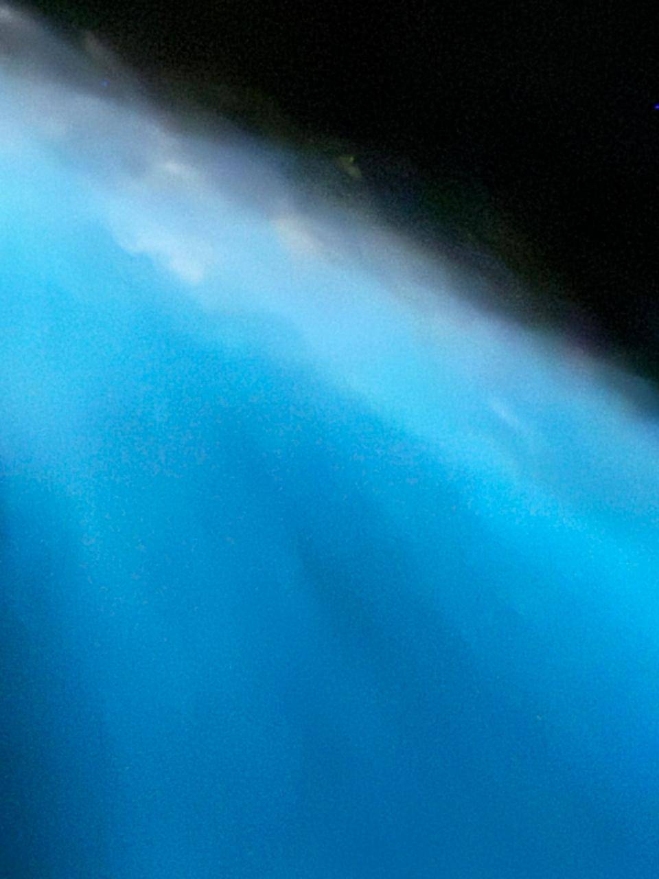 Natural Phenomenon & Bioluminescence